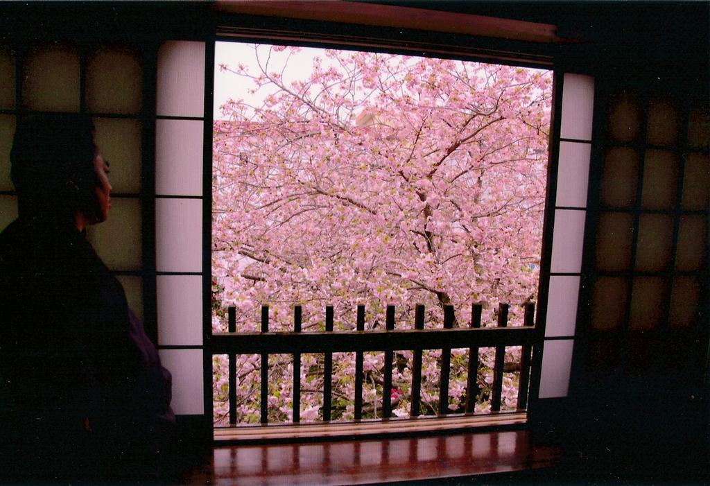 Tabi No Yado Satsuki Hotel Hita Exterior photo