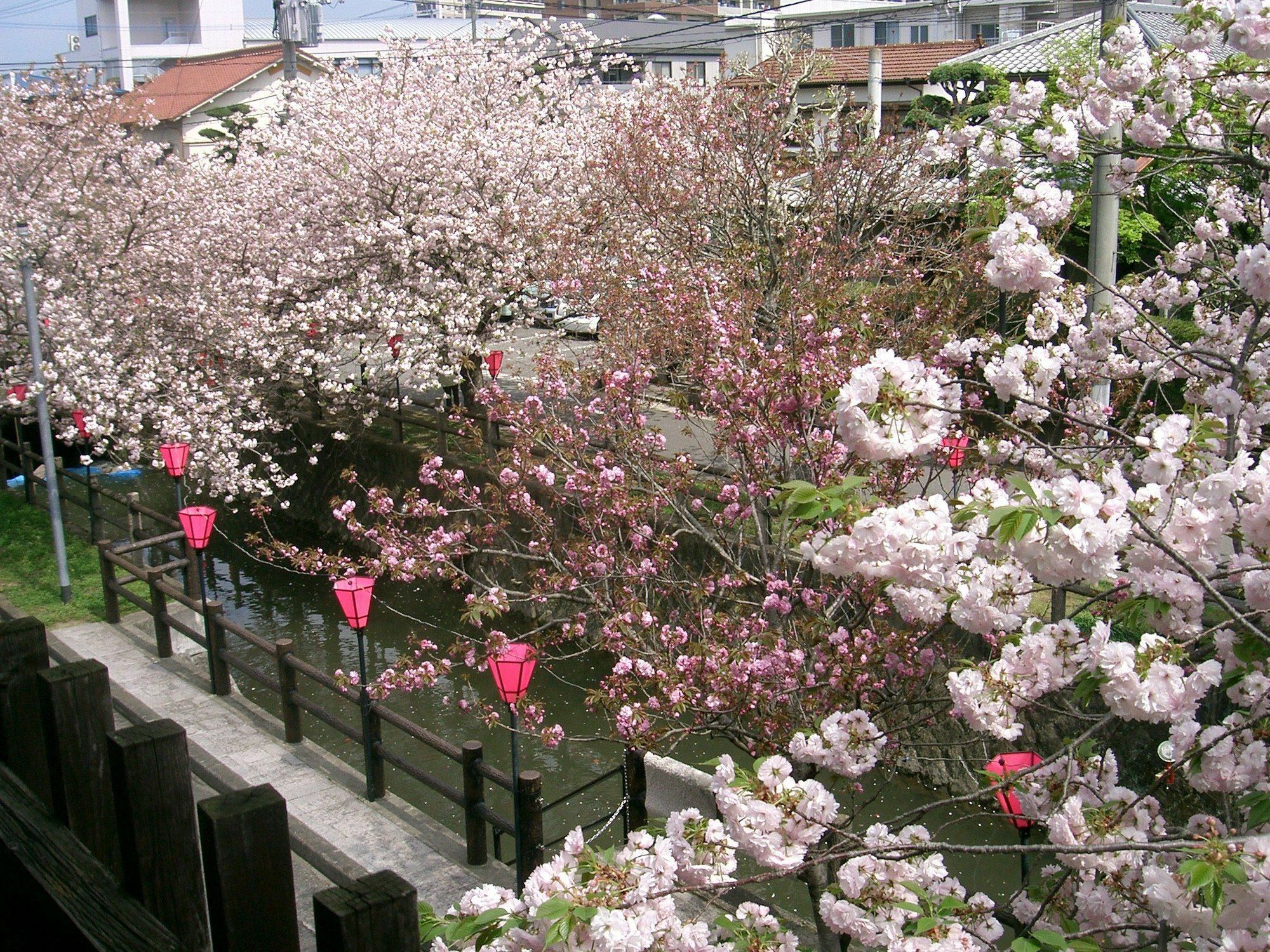Tabi No Yado Satsuki Hotel Hita Exterior photo